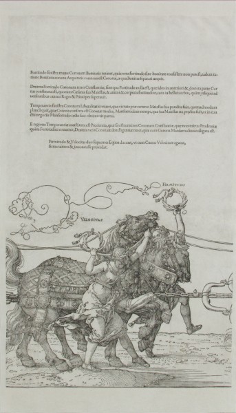 Albrecht Dürer, Veľký triumfálny voz (I–VIII)